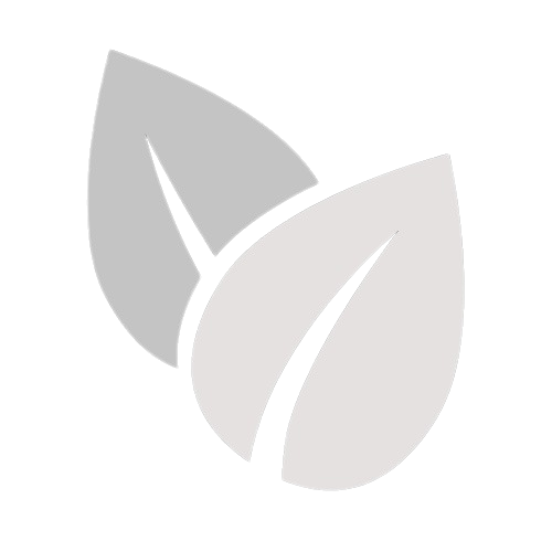 Z4V.eu Logo